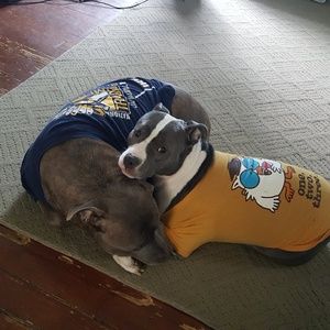 Meet your Posher, Paul